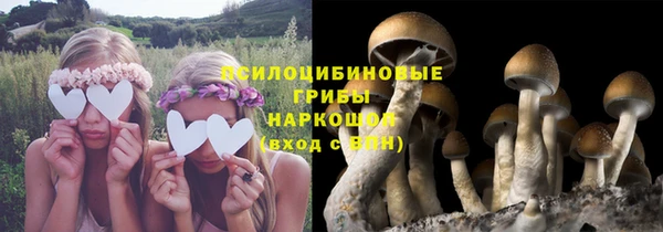 молекула духа Няндома