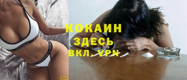 прущий лед Заречный