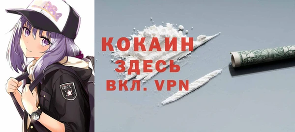 прущий лед Заречный