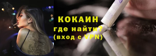 ешки Новозыбков