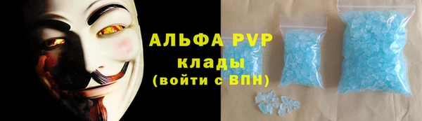 прущие грибы Зарайск