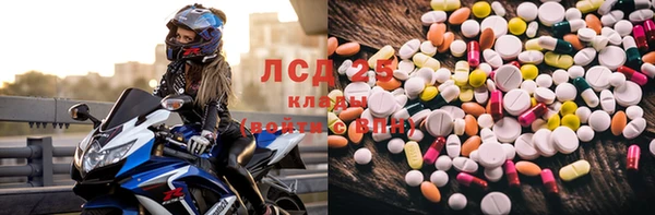 винт Заполярный