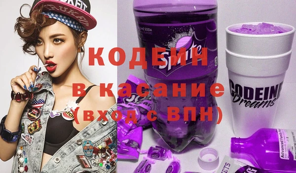 молекула духа Няндома